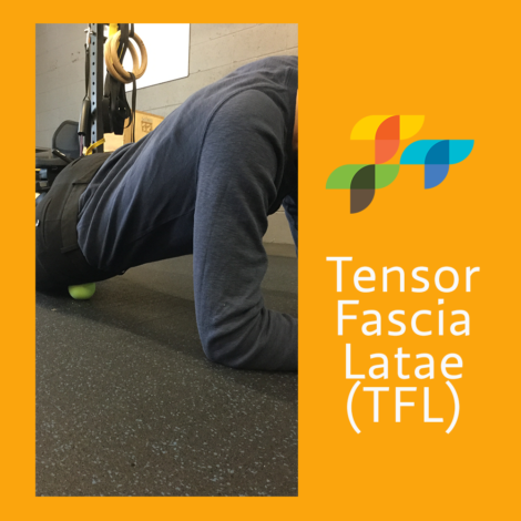 tensor-fascia-latae-new-orleans